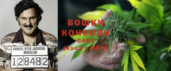 стафф Елизово