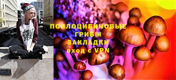 бошки Заволжск