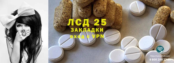 стафф Елизово