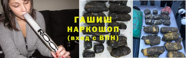 стафф Елизово
